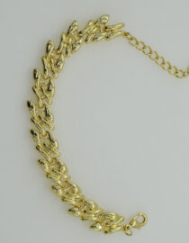 ANIPPE - Image 4