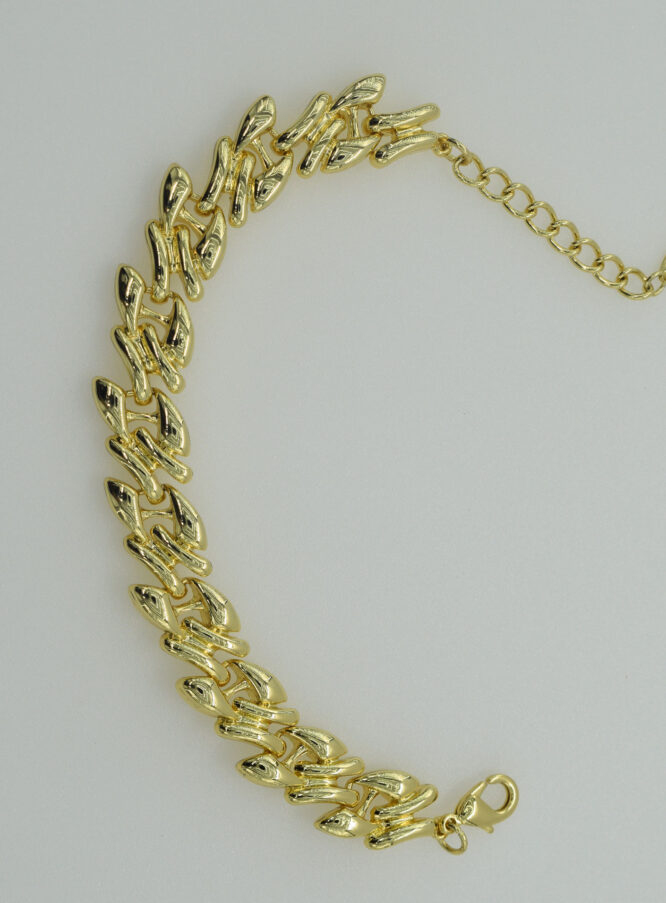 ANIPPE - Image 4